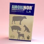 Amoxinor