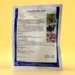 Amoxy-Col WSP (Amoxycillin - Collistin)