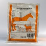 VITAFLASH AMINO WSP