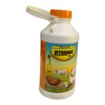 VITRANOR MULTIVITAMINS ORAL